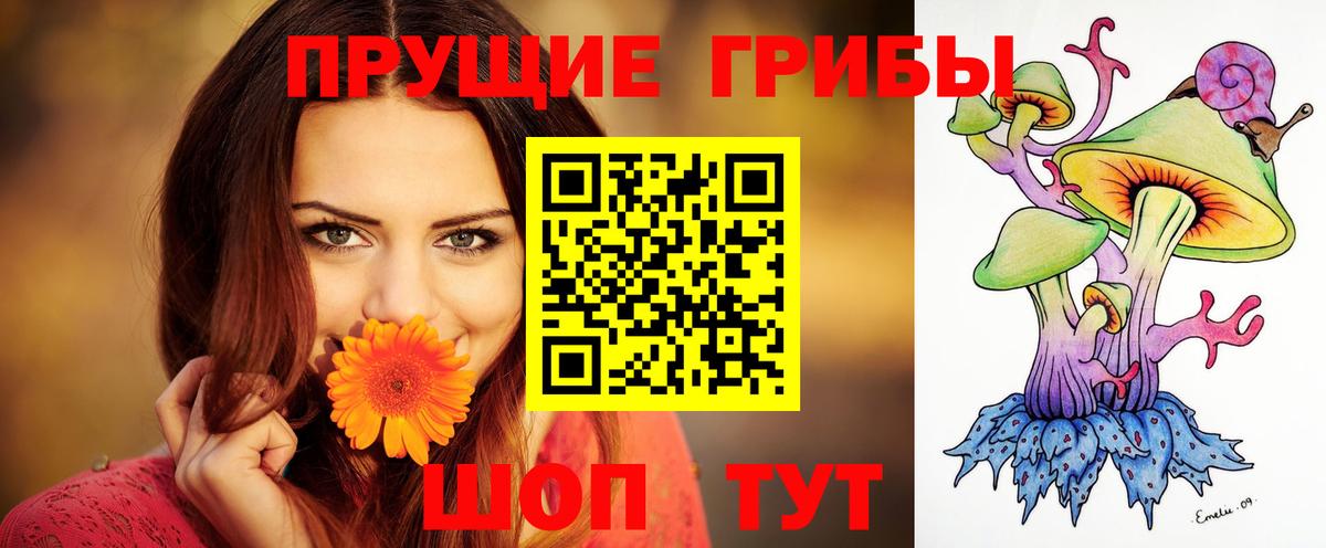 Серов  Галлюциногенные грибы Magic Shrooms  магазин  наркотиков  Псилоцибиновые грибы мицелий  Вход с VPN 