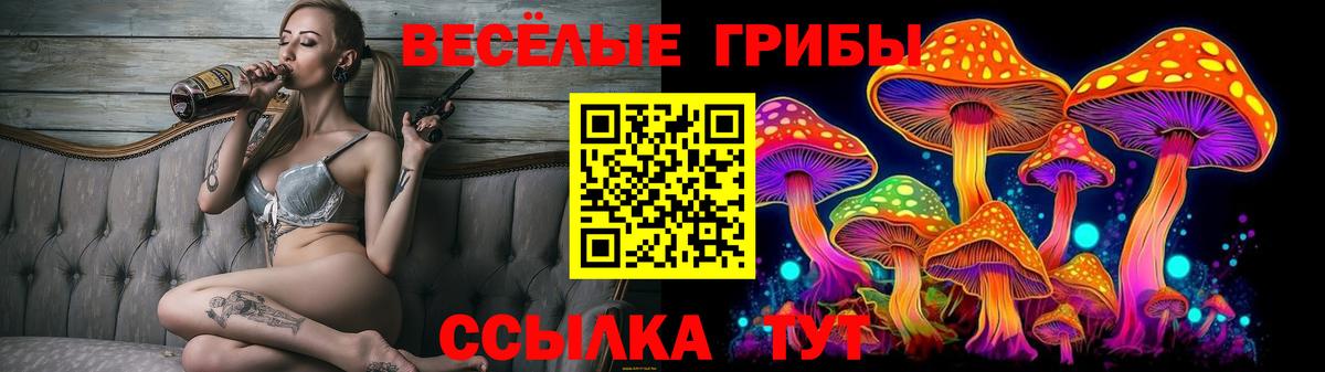 Псилоцибиновые грибы Cubensis Серов